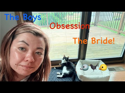 What The JenBretty Leak Means For Her Future