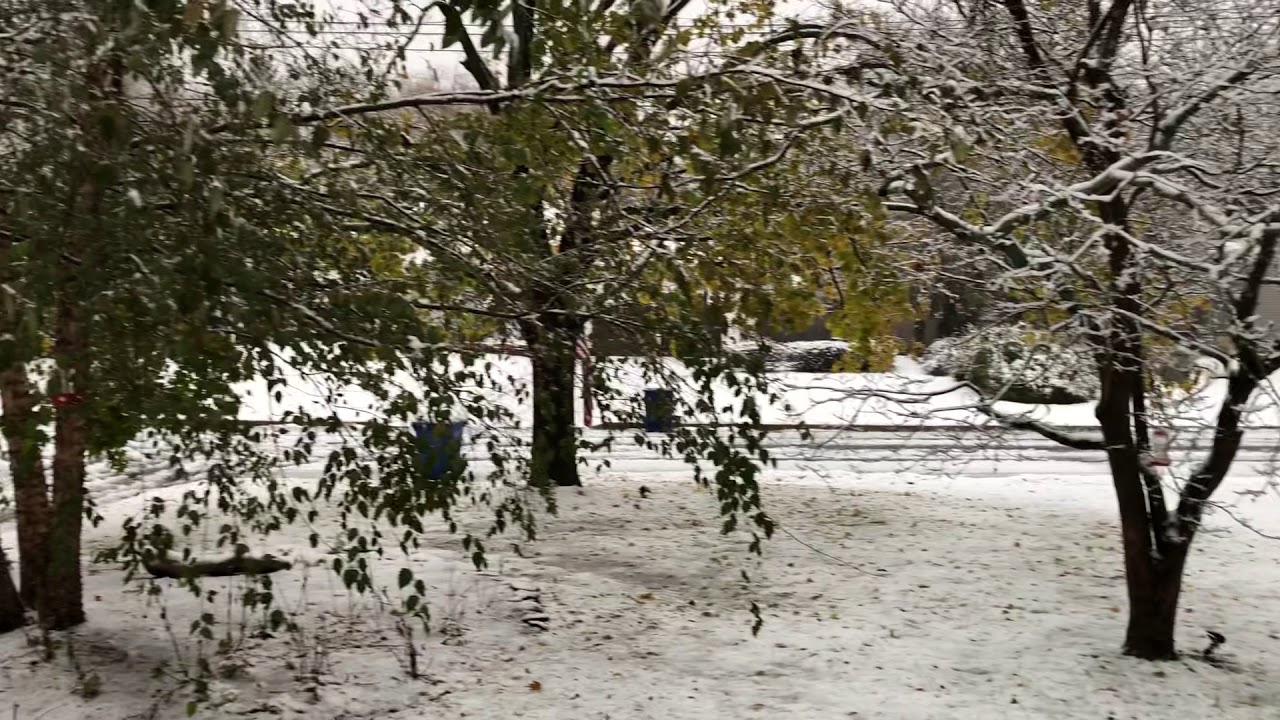 11/15/18 NJ First Autumn Snow Storm Eatontown, New Jersey