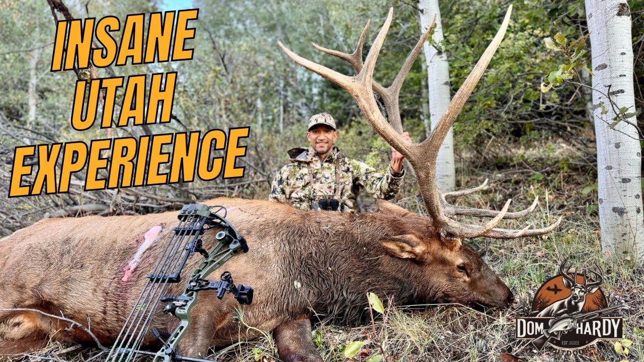 Utah Archery Elk Hunt For MASSIVE Bulls With SITKA YouTube utah-archery-elk-hunt-for-massive-bulls-with-sitka-youtube