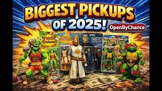 Top 10 Vintage Action Figure and Toy Hauls for 2025 LPH Edition!