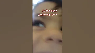 کان کان کانگورو 
