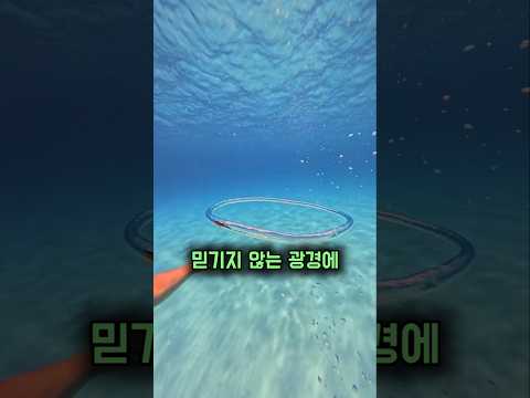 작은 공기방울이 만든 기적 같은 순간 thumbnail
