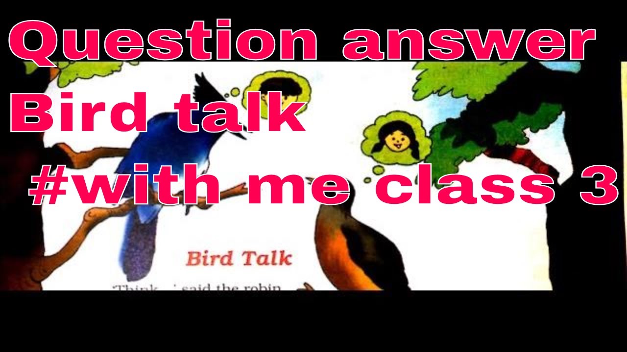 Question Answer Bird Talk Poem Aileen Fisher Unit 2 English Class