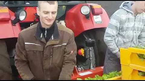 Ferrari Fastblock 4-row transplanter for soil blocks