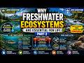 Why Freshwater Ecosystems Are Essential for Life part 2