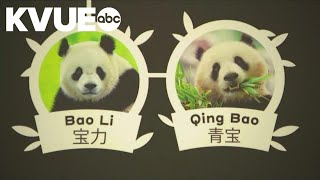 Giant pandas coming back to Washington, D.C.