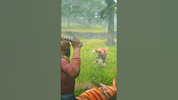 Cuộc sống hoang dã nơi núi rừng P1426