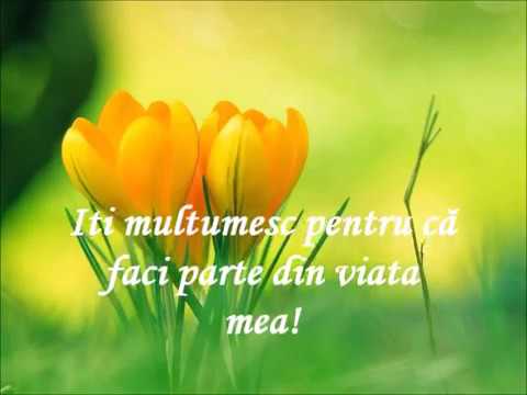 Dedicat Iubitei Mele Fiice De Ziua Ei La Multi Ani Youtube