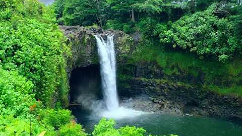 Video du lịch 4K Ngắm Thác Đổ Trong Rừng Mưa