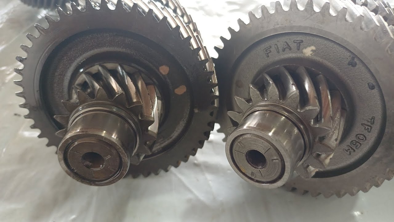 Dia de manutenção do punto, molas, bandeja, caixa 28/02/26