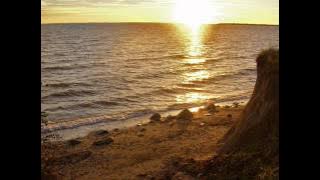 Rolandas Janavičius - Vasaros pakrantės