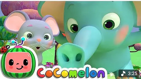 "Adorable Baby Elephant Plays in Mud – You Won’t Believe the Cutest Moments!"