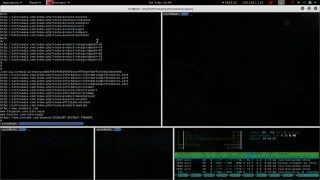 web scraping using python script tutorial in kali linux