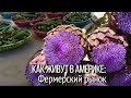 Как живут в Америке? Лос-Анджелес: фермерский рынок. В Америке не принято торговаться.