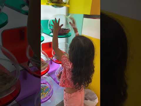 زهراء لما تقول بدي بس اشتري واحدة من الحلويات