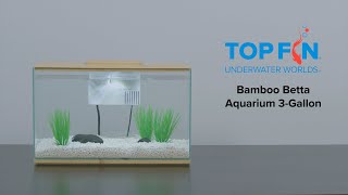 Top Fin Bamboo Betta Tank Setup - 3 Gallon YouTube