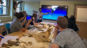 Stanford team uses 3D scannning tech to preserve art and artifacts