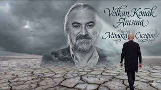 Mimoza Çiçeğim - Barış Görür
