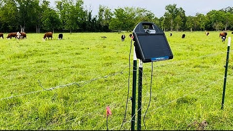 Simple Solar Electric Fencing for Cattle