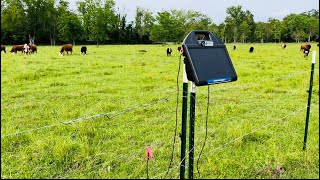 Simple Solar Electric Fencing for Cattle