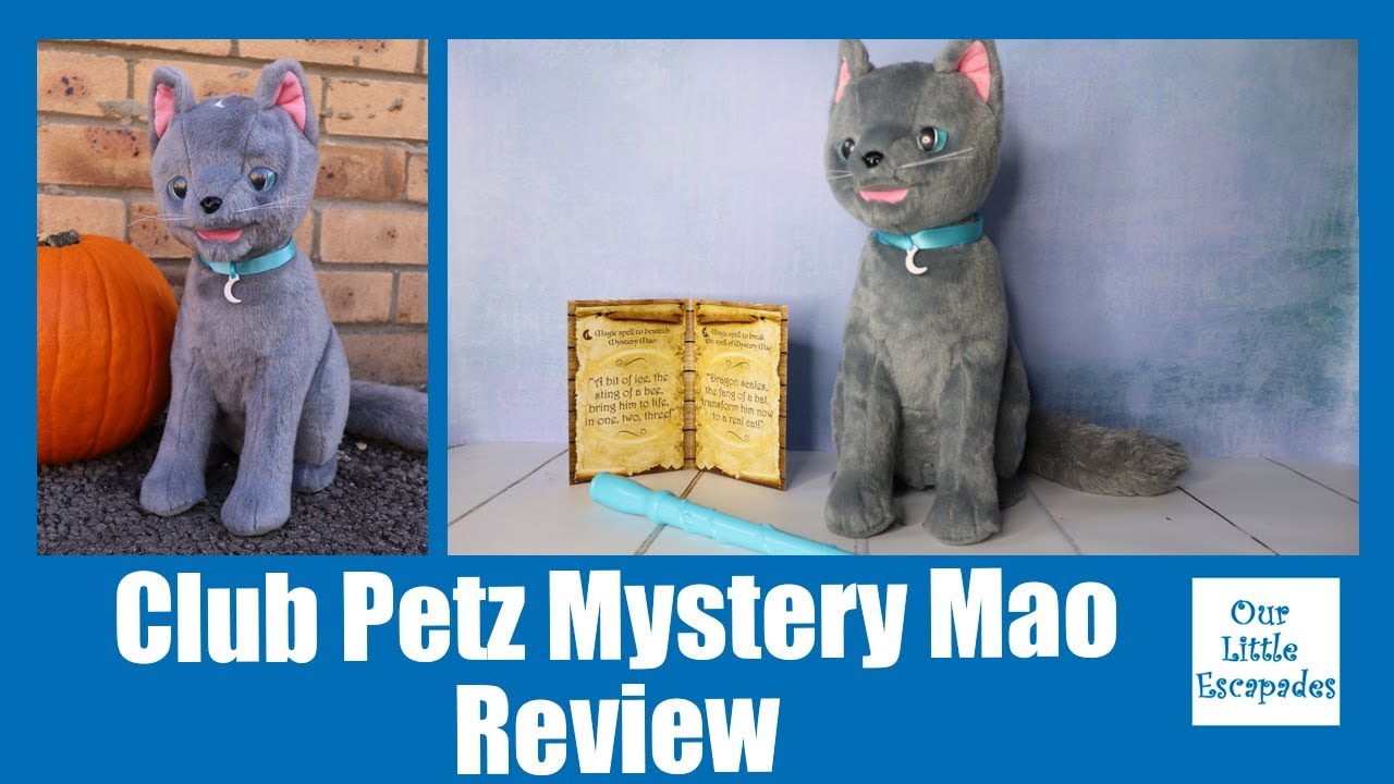 mystery meow toy