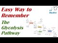 How to Remember the Glycolysis Pathway Intermediates and Enzymes | Mnemonic
