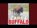 Frank Zappa - Buffalo (Frank Zappa album)