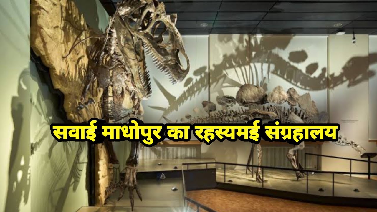 Rajiv Gandhi Regional Museum Of Natural History ll 
