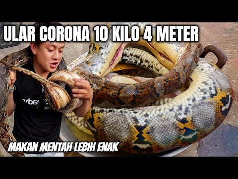 Kozgu oldida boyanayotgan qizning videosi