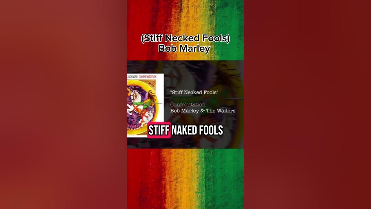Stiff Necked Fools (1983) - Bob Marley _ The Wailers(360P) #reggae #bobmarley #stiffneckedfools
