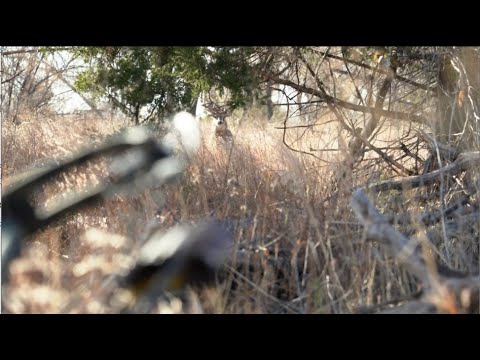 Unguided Outdoors X PSE Archery