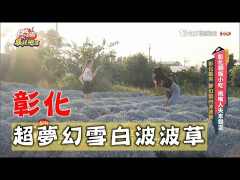 【彰化】建華芙蓉園 超夢幻雪白波波草【食尚玩家瘋狂總部】20201126 (8/8)