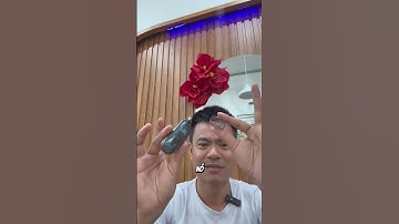 Có thể bạn ko tin đâu con máy cắt tỉa lông mũi mini này là giải pháp tuyệt vời cho ae.