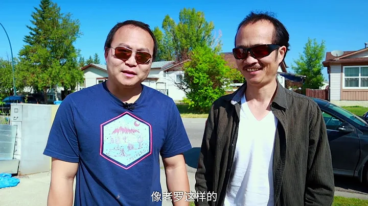如何处理树桩和树根？如何阻止树根发芽？如何挖出树根？嘉宾：老罗 - 天天要闻