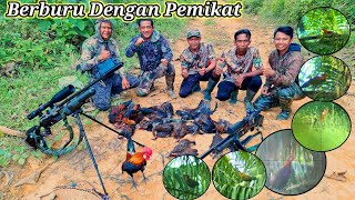 Berburu Ayam Hutan Sawit 280425  Bersama Pemikat