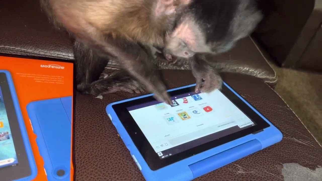 Gunner Boeh Got A New Tablet