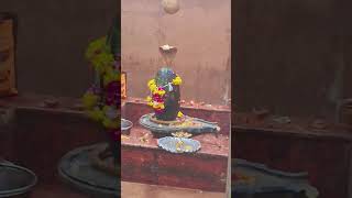 mahadev ji 🙏 ki kripa #bhakti #trending #new #song #indiashorts