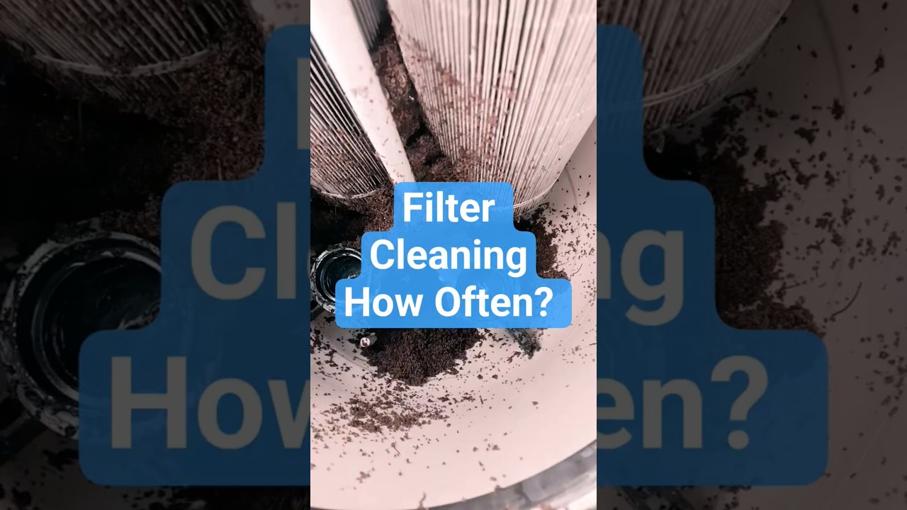 Filter Cleaning How Often? #poolmaintenance #poolservice #hendersonnevada #lasvegas #poolguy #lvnv