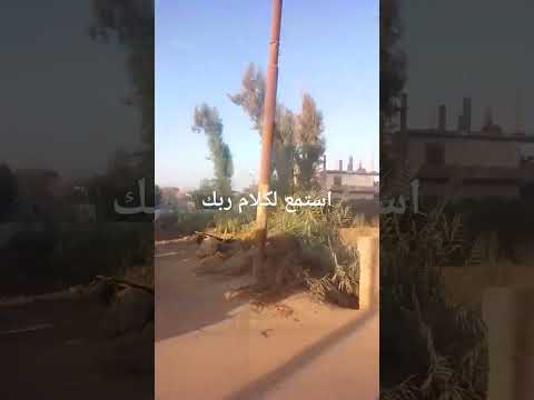 احفظ ايه فى دقيقه تجد نفسك حفظت القرآن الكريم دون أن تدرى