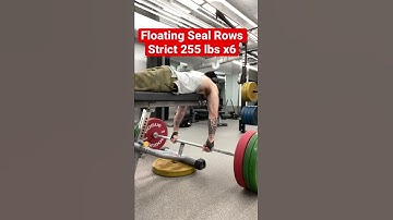 Strict Seal Rows 255 lbs x6 @ 172 lbs - Strongest Pound for Pound Natty Youtuber?