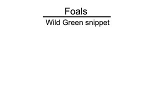 Foals - Wild Green snippet