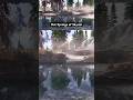 Found Heaven in Skyrim #skyrim #elderscrolls #tesv #gaming