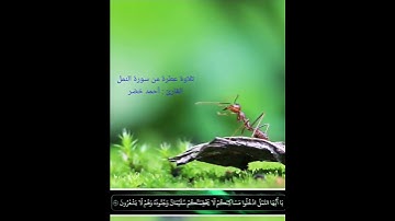 تلاوة عطرة من سورة النمل - القارئ أحمد خضر 🌿💚