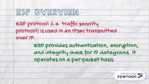 Encapsulation Security Payload