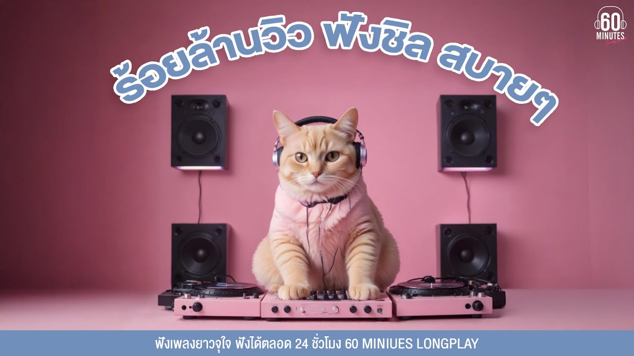 SUNDAY SPECIAL  ร้อยล้านวิว ฟังชิล สบายๆ【LONGPLAY】