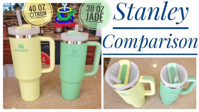 NEW Stanley Color Jade 30 oz Tumbler with Handle & Straw Lid Review 