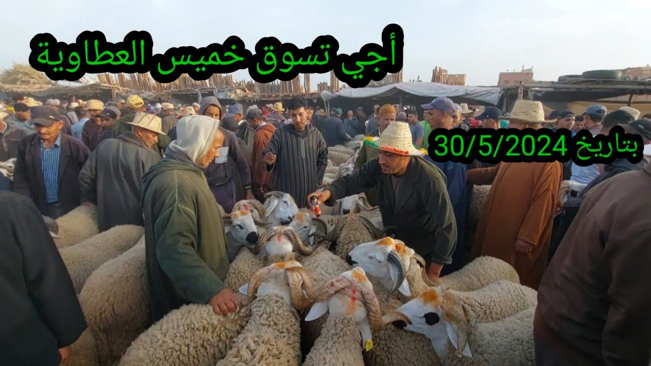 الله الله ماشاء الله سوق الغنم خميس العطاوية مع تمن الحولي عيد الأضحى بتاريخ 30/5/2024#فرجة_ممتعة