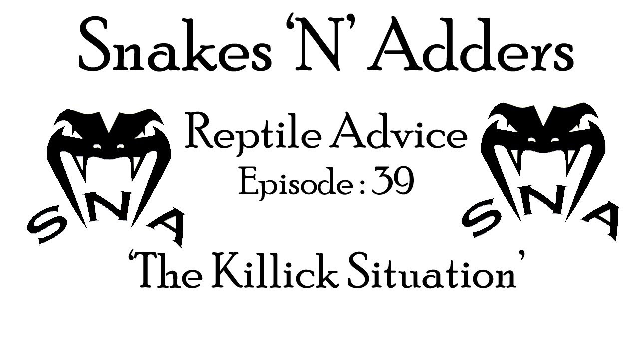 reptile care app Snakes 'N' Adders Reptile Advice : Episode 39 - The Killick Situation