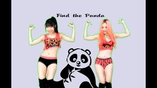 Find the panda - Puzzle