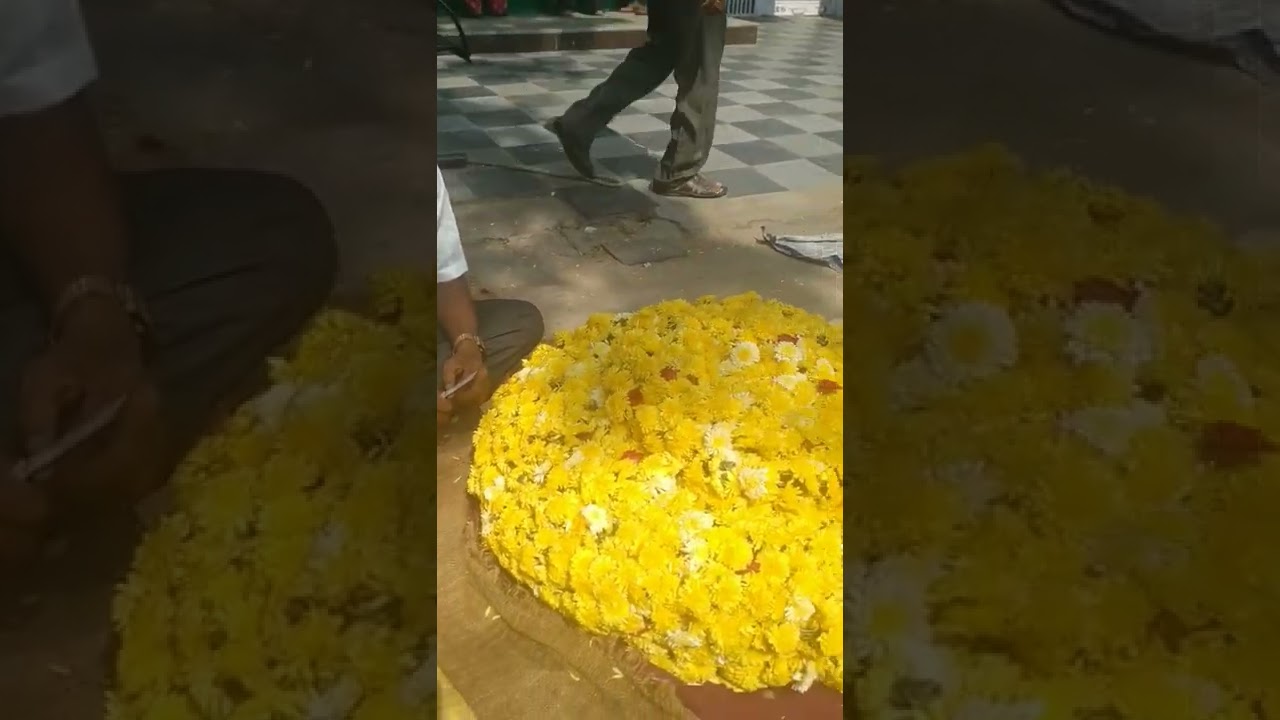 Mandya flowers near mahavir circle
